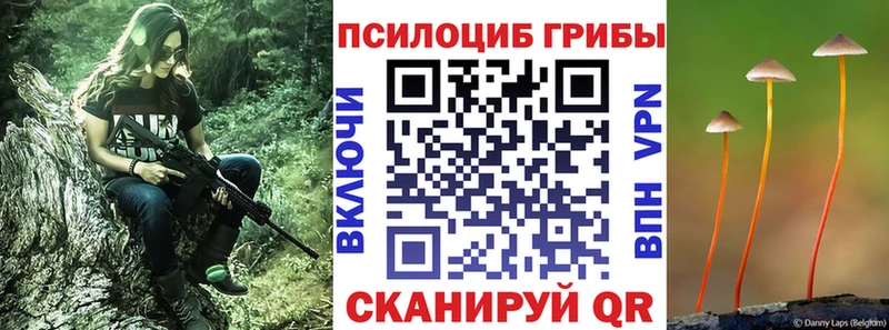 Купить Шумерля Галлюциногенные грибы ЛСД